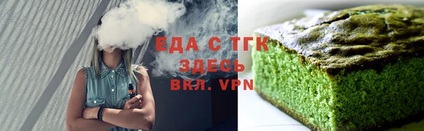тгк Дмитриев
