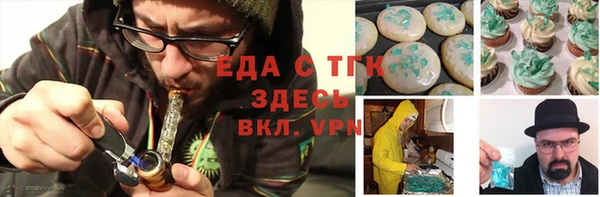 тгк Дмитриев
