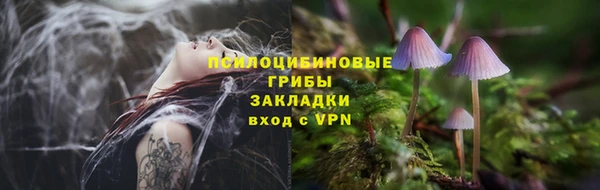 МДПВ Гусиноозёрск