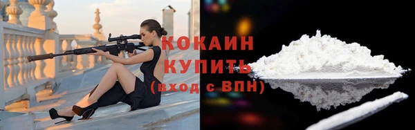 стаф Гусь-Хрустальный
