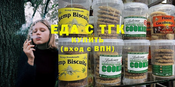 тгк Дмитриев