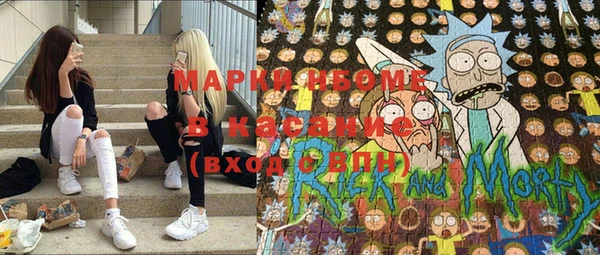 тгк Дмитриев