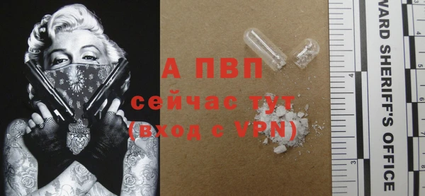 стаф Гусь-Хрустальный