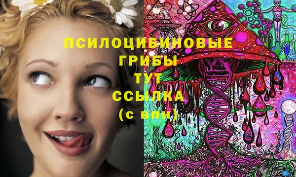 тгк Дмитриев