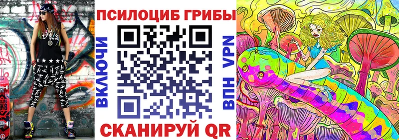 Купить закладки  Севск  Псилоцибиновые грибы Psilocybe 